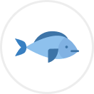 White tuna image